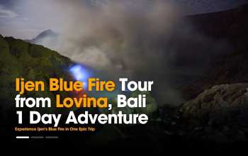 Ijen Blue Fire Tour from Lovina Bali – 1 Day Adventure
