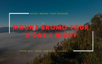 Bromo tour package from Bali 2 Day 1 Night