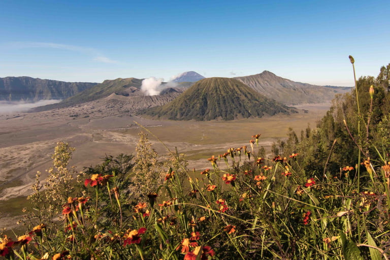 Bromo Ijen Tour Package From Yogyakarta