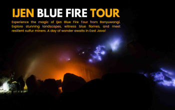 ijen blue fire tour