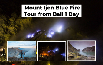 Mount Ijen Blue Fire Tour from Bali