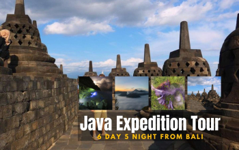 Java Expedition Tour 6 Day 5 Night From Bali