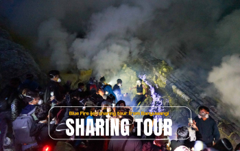 Blue Fire ijen sharing tour from Banyuwangi