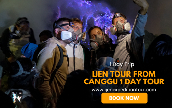 Ijen tour from Canggu 1 Day tour