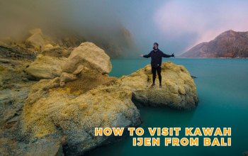 Best Ijen Crater Tour from Bali